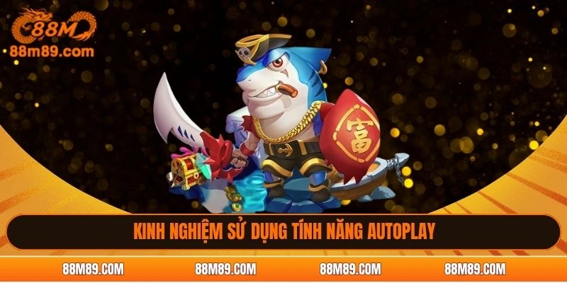 Kinh nghiệm sử dụng tính năng autoplay